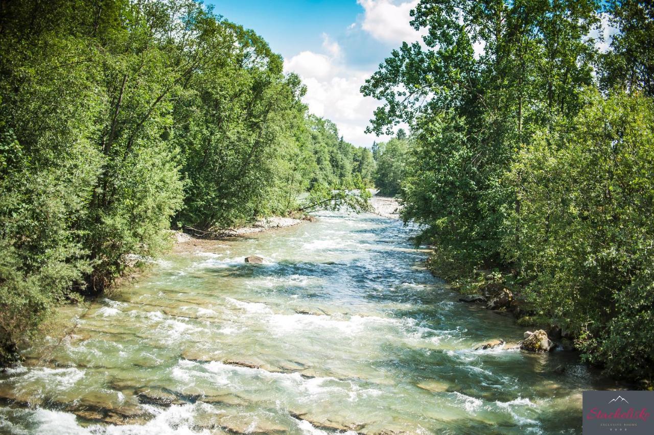Stachelisko - Domki I Pokoje Chocholow Exterior foto